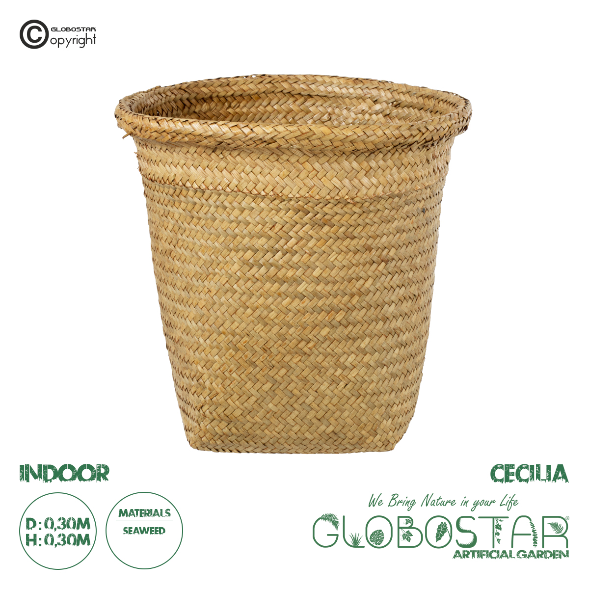 20344_1 GloboStaru00ae Artificial Garden CECILIA 20344 u0394u03b9u03b1u03bau03bfu03c3u03bcu03b7u03c4u03b9u03bau03cc u03a8u03acu03b8u03b9u03bdu03bf u039au03b1u03bbu03acu03b8u03b9 - u039au03b1u03c3u03c0u03ce u0393u03bbu03acu03c3u03c4u03c1u03b1 - Flower Pot u039cu03c0u03b5u03b6 u03a630cm x u03a530cm