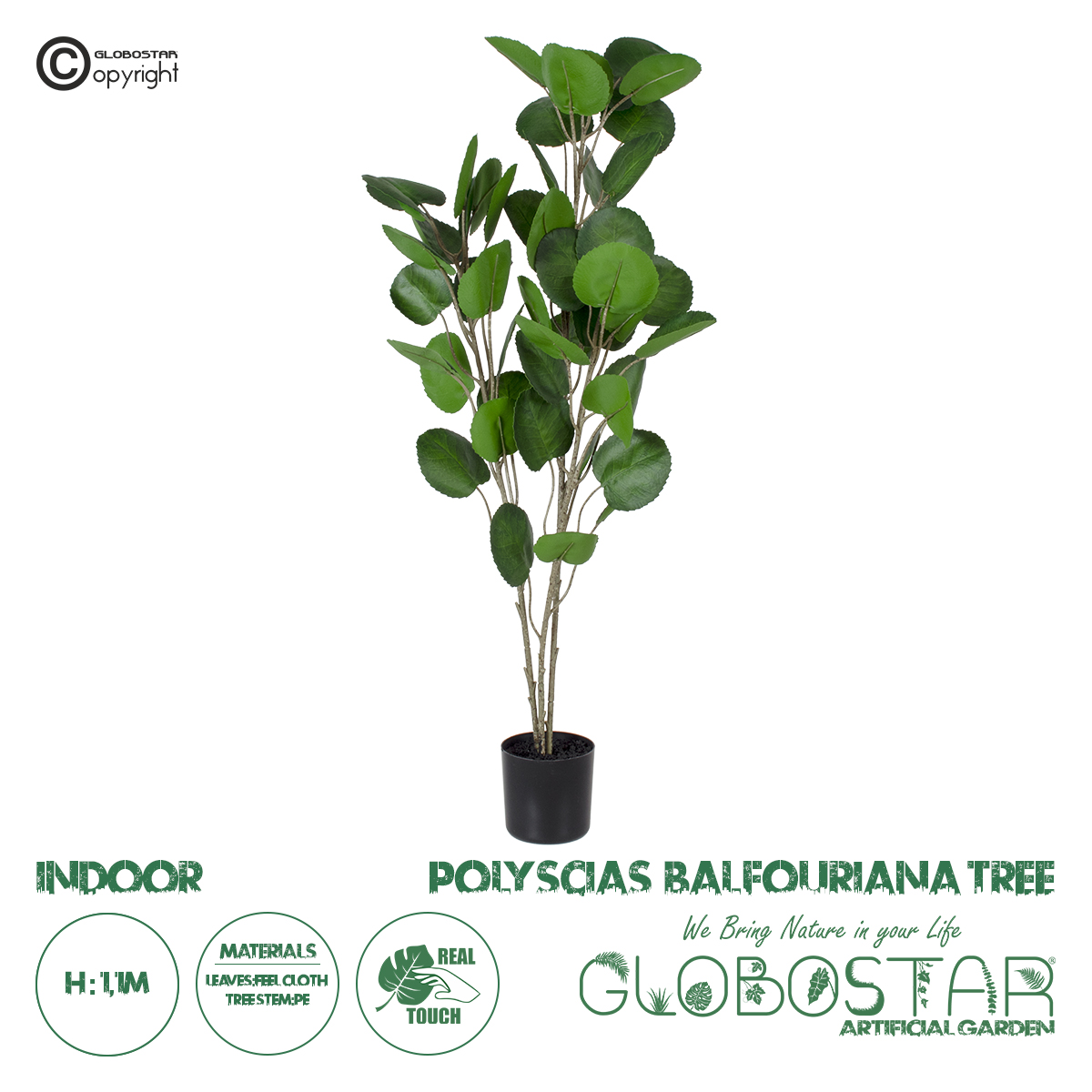20374_1 GloboStaru00ae Artificial Garden POLYSCIAS BALFOURIANA TREE 20374 u03a4u03b5u03c7u03bdu03b7u03c4u03cc u0394u03b9u03b1u03bau03bfu03c3u03bcu03b7u03c4u03b9u03bau03cc u03a6u03c5u03c4u03cc u03a0u03bfu03bbu03c5u03c3u03bau03b9u03ac u03a5110cm