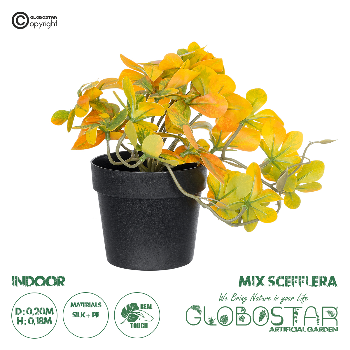 20955_1 GloboStaru00ae Artificial Garden SCHEFFLERA MIX PLANT 20955 u0394u03b9u03b1u03bau03bfu03c3u03bcu03b7u03c4u03b9u03bau03cc u03a6u03c5u03c4u03cc u03a3u03b5u03c6u03bbu03adu03c1u03b1 u03a620 x u03a518cm