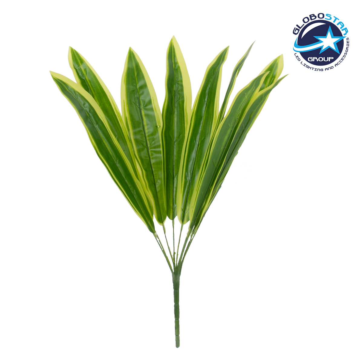 78285_1 GloboStaru00ae CORN PLANT 78285 u03a4u03b5u03c7u03bdu03b7u03c4u03cc u03a6u03c5u03c4u03cc u0394u03c1u03acu03bau03b1u03b9u03bdu03b1 u0391u03c1u03c9u03bcu03b1u03c4u03b9u03bau03ae - u039cu03c0u03bfu03c5u03bau03adu03c4u03bf u0394u03b9u03b1u03bau03bfu03c3u03bcu03b7u03c4u03b9u03bau03ceu03bd u03a6u03c5u03c4u03ceu03bd - u039au03bbu03b1u03b4u03b9u03ceu03bd u03bcu03b5 u03a6u03cdu03bbu03bbu03c9u03bcu03b1 u03a0u03c1u03acu03c3u03b9u03bdu03bf - u039au03afu03c4u03c1u03b9u03bdu03bf u03a548cm